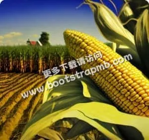 多样服务，满足需求 - 旺财28