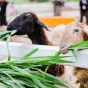 搜索 - 旺财28
